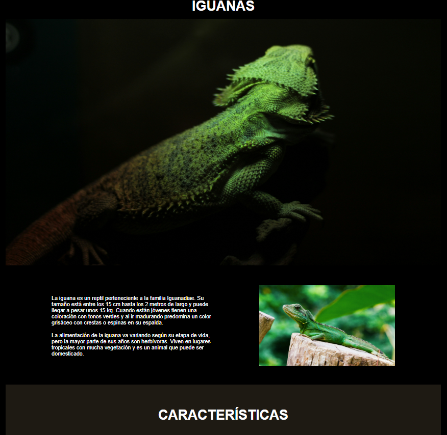 Imagen del proyecto Iguana Page
